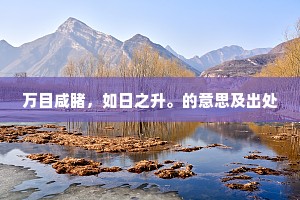 流水断桥缘石过，野花随意倚晴岚。下一句是什么？