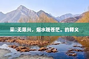 坚持之光，巴斯德启示录——破晓之路，唯坚韧可抵
