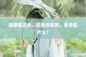 两瞽相扶的解释