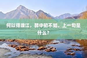 相逢江上客，有泪湿青衫。下一句是什么？