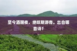 南丹老人真伟人，烱烱方瞳貌奇古。上一句是什么？