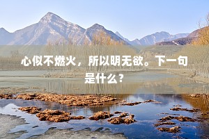 撩火加油的释义