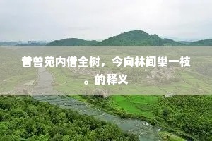 乾愁漫解坐自累，与众异趣谁相亲。出自哪首诗？
