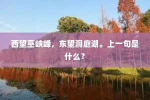 先生欲副苍生望，移孝为忠是别情。出自哪首诗？