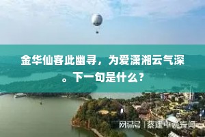 赖有南轩竹，清风慰寂寥。的意思及出处