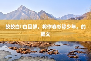 昨日看花花满枝，今朝花已半离披。上一句是什么？