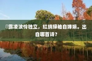 庇苍生、更作万间广厦，为相公寿。上一句是什么？