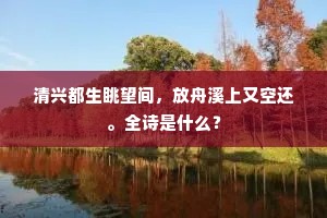 老泪空缘梦，遗碑未有文。的意思及出处