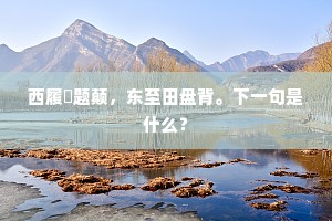 大君膺宝历，出豫表功成。的意思及出处