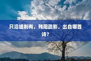 任嚣志偏霸，亦以天文决。的释义
