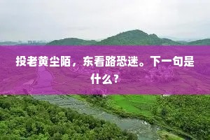 绿上阶苔经雨旧，红翻林叶醉霜深。上一句是什么？