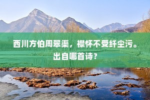 词林有閒客，作赋拟长杨。的释义
