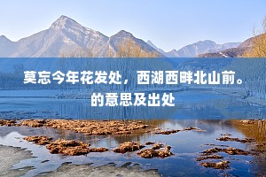 黄榆风骠立，大卤雪雕盘。的意思及出处