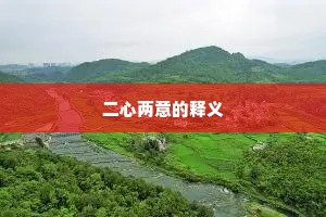 二心两意的释义