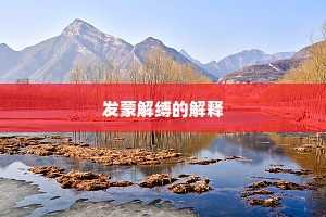 发蒙解缚的解释