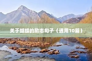 王者台词励志语录（精选8篇）
