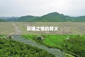 反哺之情的释义