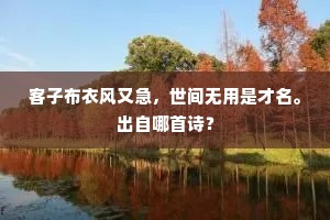 嫉妒之影，游荡心间的暗流，唤醒灵魂的觉醒