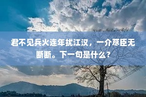 探无悟无极，阅有谢有攘。的意思及出处