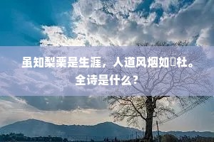 孤独餐桌上的哲学，味蕾之外的盛宴缺席
