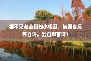 虚荣与愚蠢的镜像，透视人心的双面镜