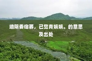 才华双刃剑，光辉下的暗涌与自我救赎
