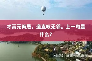 依依双影破云飞，天涯回首山无数。的意思及出处