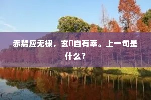 零珠碎玉的成语解释