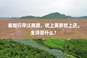 一掬灵均泪，悽然洒五羊。的释义