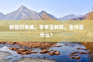 令人莫测的成语解释