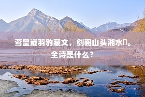 另眼看待的解释