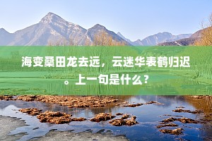 礼尚往来，尊重的循环链，拉罗什富科笔下的深刻共鸣