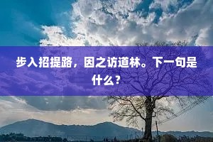 微光成炬，礼貌背后的牺牲哲学