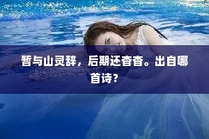 园亭无恙鹤应健，词赋分投名不虚。的解释