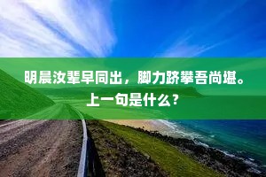 零光片羽的解释