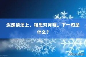 零零星星的释义