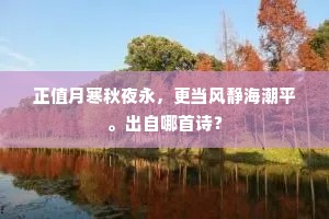 教养之光，铸就圆满人格，点亮生活每个角落