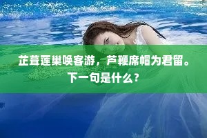 依依双影破云飞，天涯回首山无数。的意思及出处