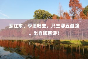 烈焰之魅，远方赞美下的生命炽热