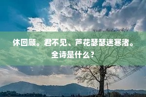 光阴织梦，阴影绘魅，人生画卷的深邃哲学