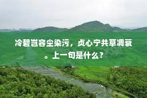 令人喷饭的解释