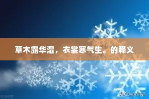 令人神往的成语解释