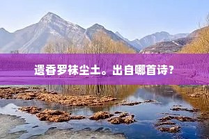从兹儒效兼安攘，不是皇心喜纵横。下一句是什么？