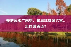 量才而为的释义