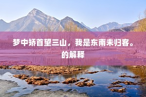 兰桡夜泛鸥边月，铁笛晨吹鹤背风。的释义