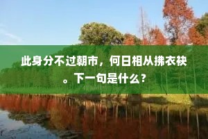 仆夫理巾车，晨起驾周行。全诗是什么？