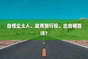 岛树浮苍茫，烟波漾残暑。的解释
