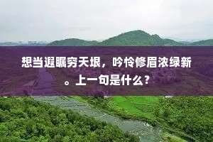 曲罢问郎名个甚，想夫怜。的解释