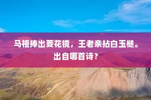 无处不携弦管，直应占断春光。的释义