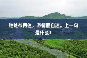 问汝情心究何物，煎熬如此未成灰。出自哪首诗？